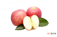 拉肚子吃苹果好还是吃梨好 经常拉肚子吃苹果好吗