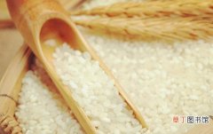 日常生活中吃到的米 米的种类与营养价值