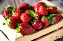 草莓是用保鲜膜盖住还是直接放着的好 草莓用保鲜膜封起来