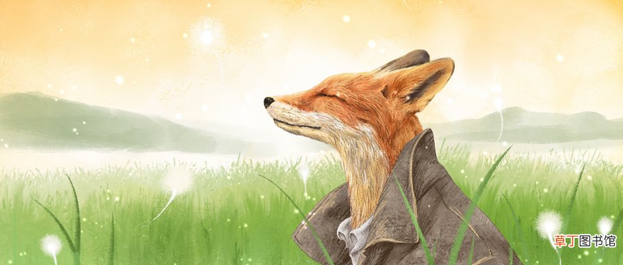 梦见狐狸是什么预兆