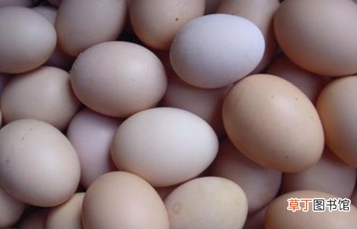 土鸡蛋是否更有营养 当心那些化妆的土鸡蛋