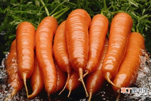胡萝卜位列不爱吃的蔬果 胡萝卜营养价值大揭秘