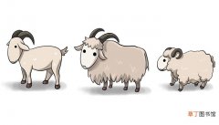 梦见一群羊是什么意思 梦见一群羊有什么预兆