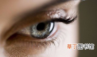 关于眼睛的名言名句 关于眼睛的名言名句有哪些