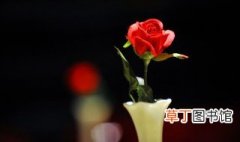 情人节为什么送玫瑰花 情人节送玫瑰花的意义