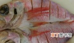 红石斑鱼的做法 红石斑鱼的简单做法