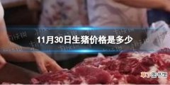 11月30日生猪价格是多少 11.30猪肉价格一览表