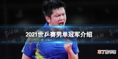 2021世乒赛男单冠军是谁 樊振东获世乒赛男单冠军