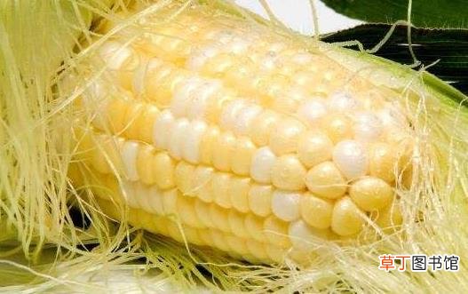 玉米须的功效与作用 玉米须的美食做法