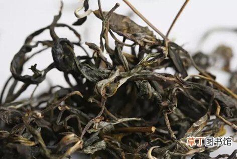最受欢迎的10大普洱古树茶，你喝过几个？
