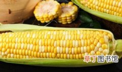 新鲜玉米怎么保存方法 新鲜玉米保存方法介绍