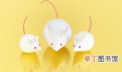 为什么用小白鼠做实验，科学家为什么用小白鼠做实验