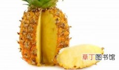 海菠萝是什么 海菠萝是什么呢