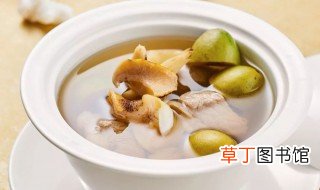 生橄榄煲汤怎样做好 青橄榄煲汤广东做法