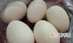 鹅蛋煮多长时间能熟 鹅蛋煮多长久好