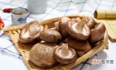 多吃香菇提高免疫力防感冒 干鲜香菇处理方式各不同