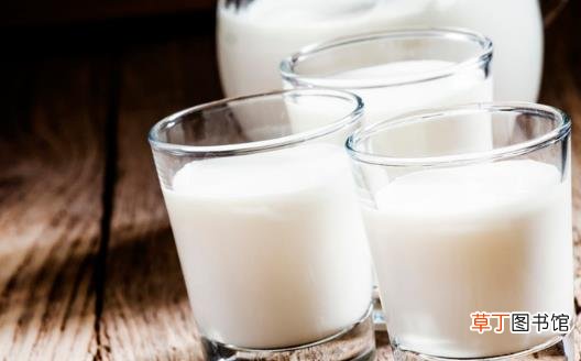 羊奶的营养价值 滋阴养胃补益肾脏