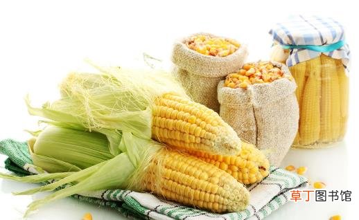 玉米的食用方法大推荐 简单三招延长玉米使用期