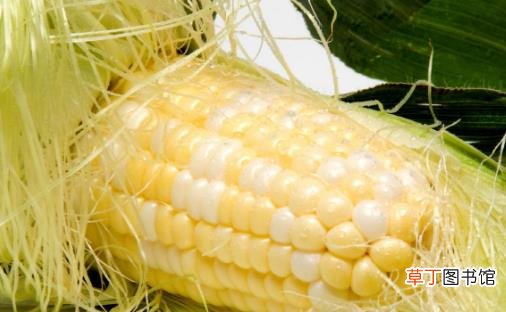 多食玉米须利尿降血压 又轻松又省力的玉米须处理法