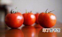 西红柿的由来 西红柿的由来作文