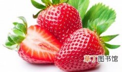 奶油草莓种植技巧 奶油草莓怎么种植
