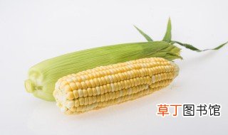 冬季玉米种子储存方法，冬季玉米种子储存方法图片