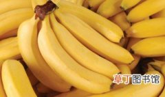 大香蕉是什么 大香蕉的介绍