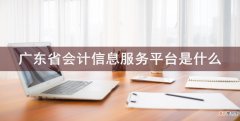 广东省会计信息服务平台是什么