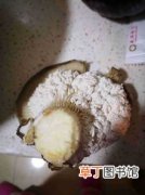 蘑菇背面长出白色东西还能吃吗,蘑菇反面涨了白色的颗粒状能吃