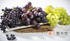 葡萄保存方法和注意事项 葡萄的保存方法以及注意细节