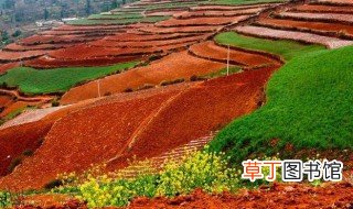 红壤是酸性还是碱性 红壤是什么性质的土壤