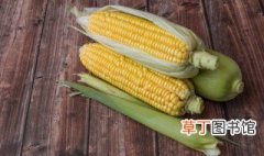 种植玉米多棒小技巧 种植玉米的技巧