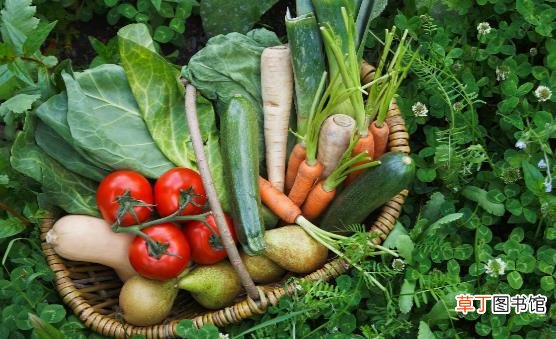 蔬果不应只是餐桌上的配角 每天吃足量蔬果有助防慢病