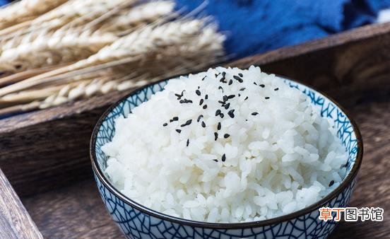 平常吃的白米饭到底有没有营养 每天米饭吃多了会胖吗