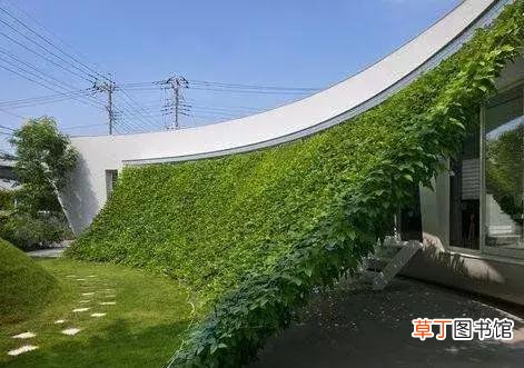 垂直花园：环保/健康/养生的首选”壁纸“