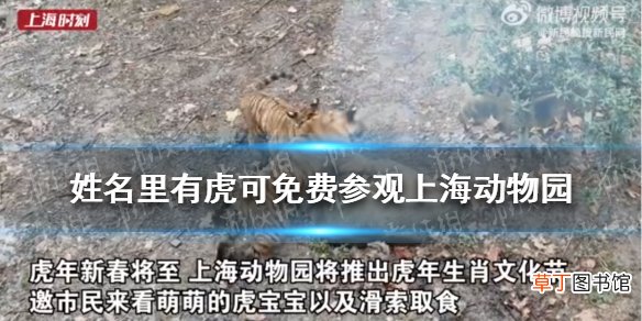 姓名里有虎可免费参观上海动物园是怎么回事 姓名里有虎可免费参观动物园