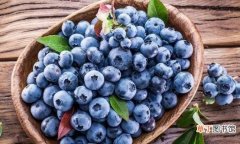 吃蓝莓的各种利与弊 新鲜蓝莓的10种美味吃法