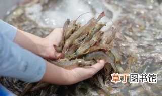 梅菜烧河虾怎么做好吃 制作梅菜烧河虾的方法