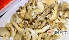 凤尾菇怎么做好吃 凤尾菇如何做好吃