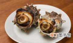 海螺肉怎么炒好吃 炒海螺肉的烹饪方法