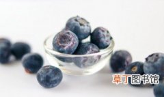 蓝莓种植技术方法是什么 蓝莓如何种植
