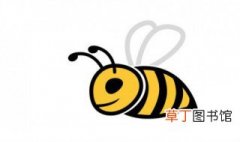 怎样养好中蜂及养蜂工具需要些什么? 怎样养好中蜂