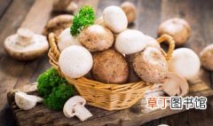 青菜炒小蘑菇的做法 怎么做青菜炒小蘑菇
