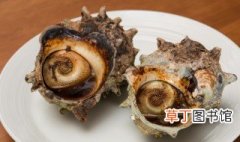 大海螺怎么做好吃 大海螺好吃的做法