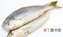 塔米鱼怎么做好吃 塔米鱼的步骤
