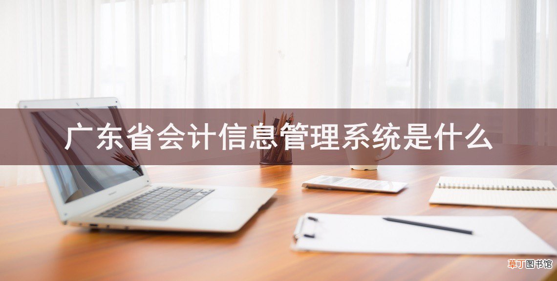 广东省会计信息管理系统是什么