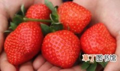 草莓如何保存一个月 草莓怎么保存好