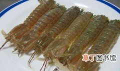 皮皮虾和普通虾的区别 区别真的很大