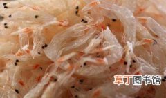 虾米和虾皮一样吗 教你如何挑选优质虾皮