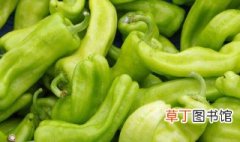 新鲜青椒怎样长期保存 长期大量青椒保鲜储存方法